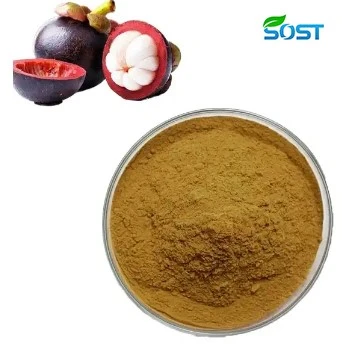 Mangosteen Peel Powder2