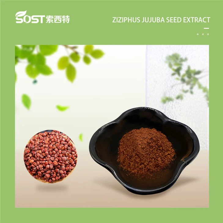 Semen Ziziphi Spinosae Extract