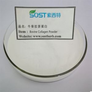 אבקת קולגן בקר שעבר הידרוליזה