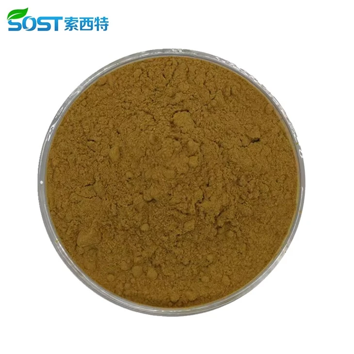 Wild Lettuce Extract