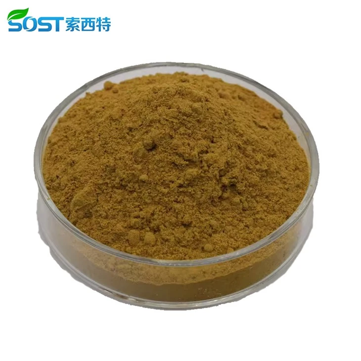 Wild Lettuce Extract